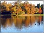 foto Parco Karlsaue in Autunno